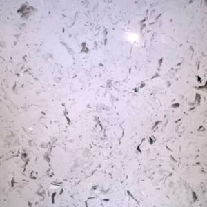Muriel CQ (Jumbo 137x75 Avg sqft 71.35) Cosmos