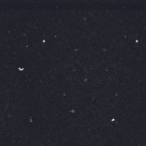 Starry Night  (Jumbo Size 137x75 Avg 71.35 sq.ft slab size) Cosmos