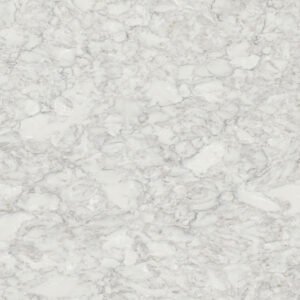 Calacatta-Ocellio (126x63) MSI