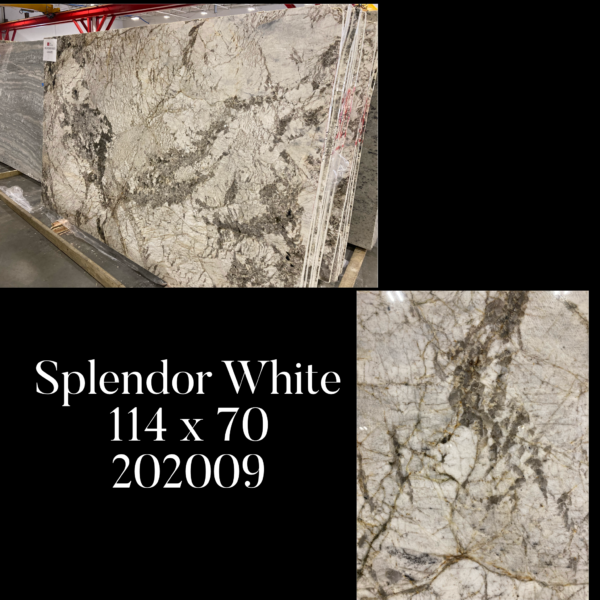Splendor White (114x70 Avg 55.41 sq.ft) SSC