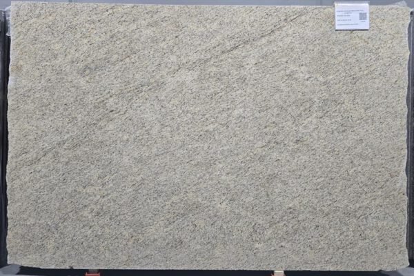 Giallo Ornamental United - Image 2