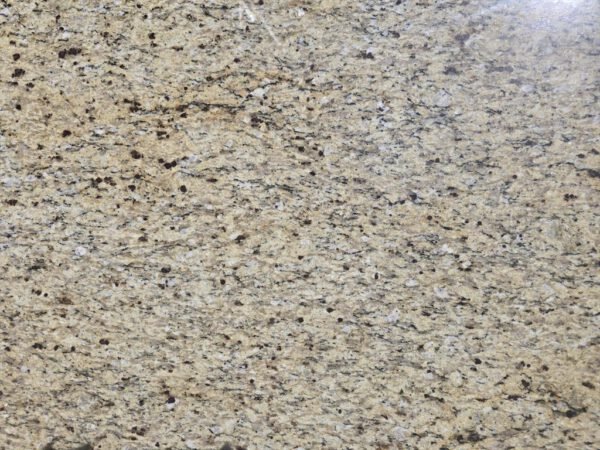 New Venetian Gold United - Image 2
