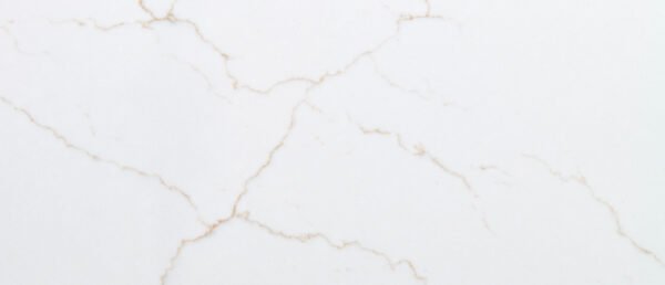 Calacatta Mirragio Gold & Regular MSI G-6