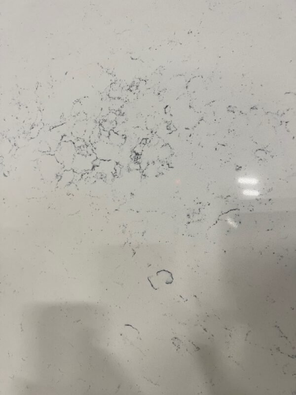 Carrara Venatino  M&F - Image 2