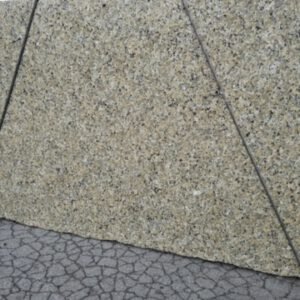 Beige Butterfly SSC