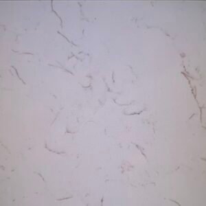 Carrara Dali White With Gold & Grey Lines ( Jumbo 138x75 Avg 71.87 sqft)