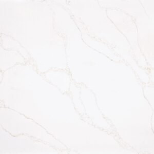 Calacatta Polemo CQ (134x74 Avg 68.79 sqft) Cosmos